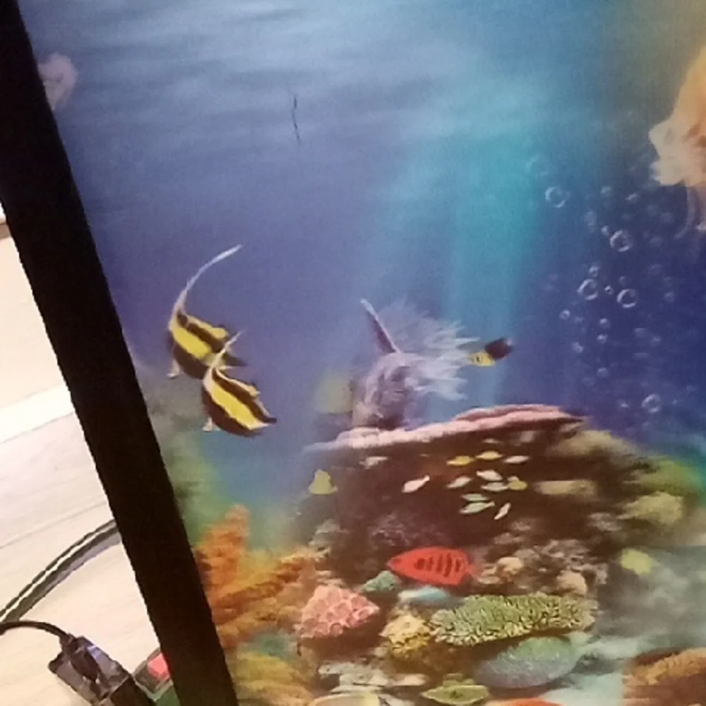 Vibrant Underwater Fish Scene Framed Art